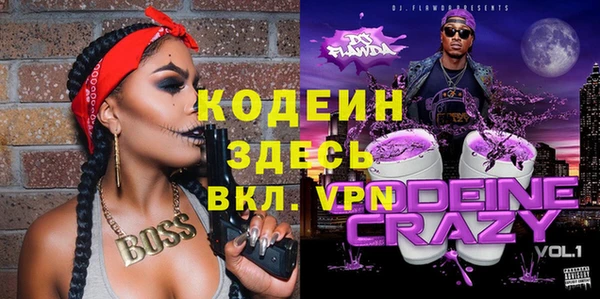 хмурый Дмитровск