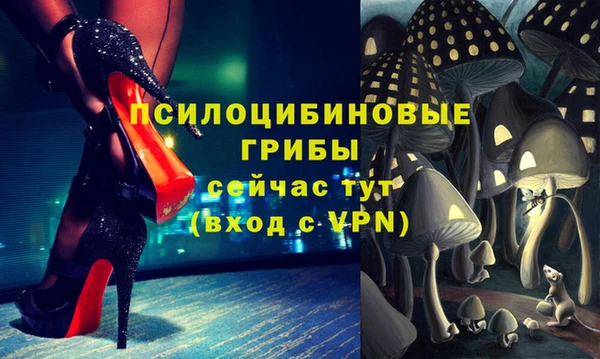 спиды Дмитров