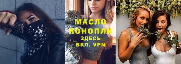 хмурый Дмитровск