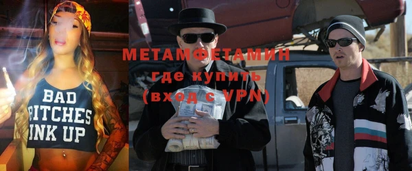 прущие грибы Гусев