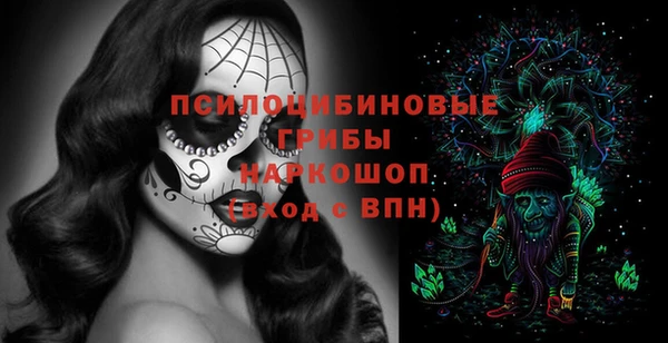 спиды Дмитров