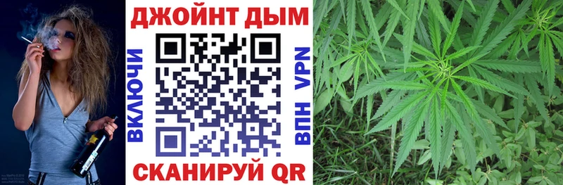 Бошки марихуана семена  где купить наркоту  Калач 